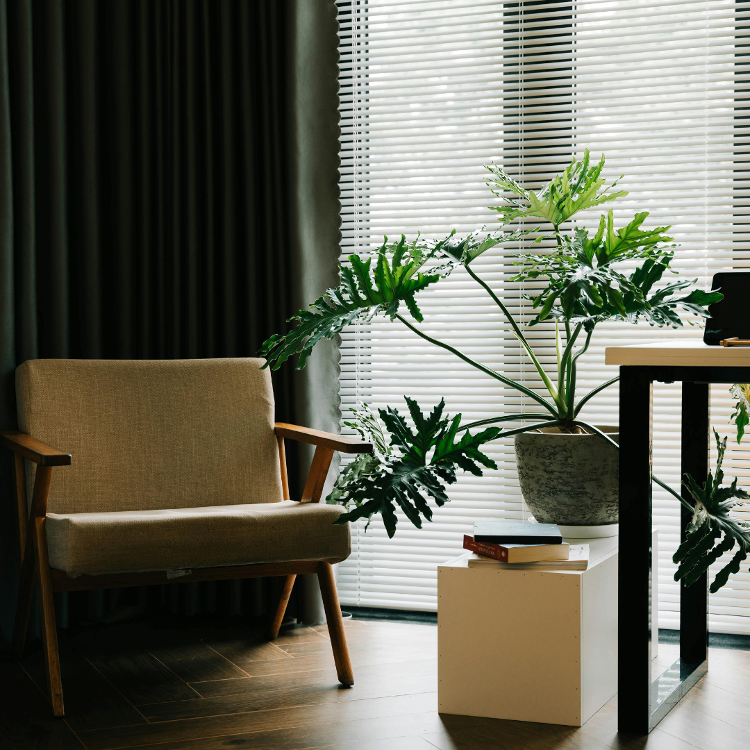in home therapy space