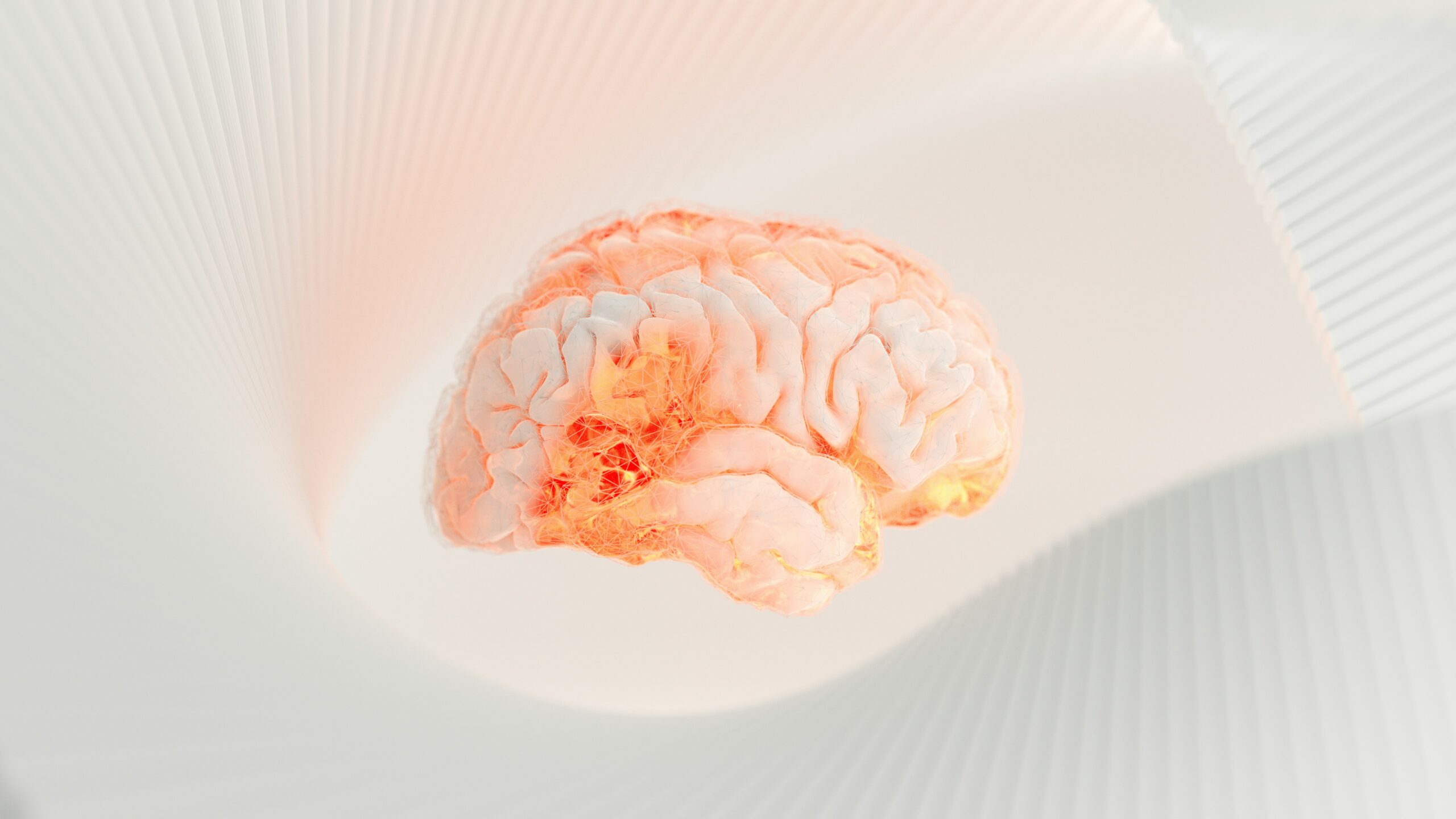 picture of the brain floating around a white space